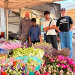 On the market
