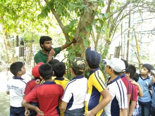 Field Trip to Bhavan's Nature Park